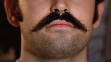 Moustache Hairdryer GIF by Ediz Anavi