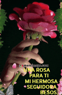 Para Ti Corazon GIF by Murcianys LLC