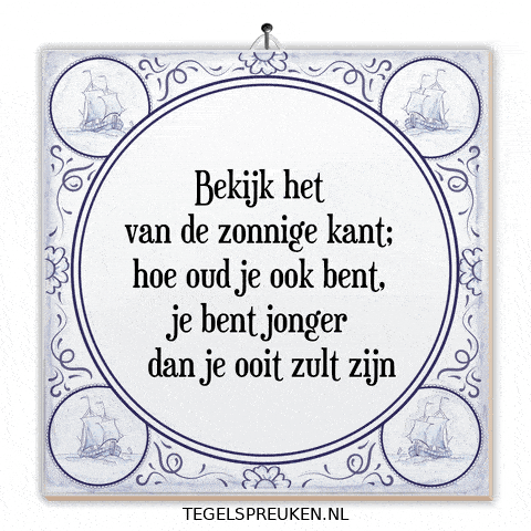 Humor Nl GIF by Tegelspreuken.nl