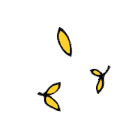 Summer Shine Sticker