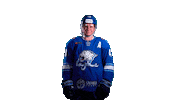 barys_official kazakhstan khl хоккей казахстан Sticker