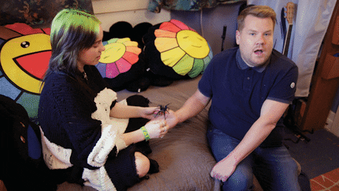 James Corden No GIF by The Late Late Show with James Corden