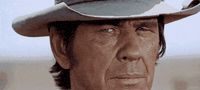 Charles Bronson Smh GIF