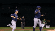 Major League Baseball Sport GIF by MLB