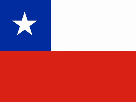 Viva Chile GIF