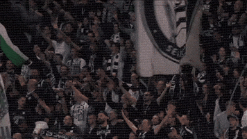 Football Fans GIF by SK Sturm Graz