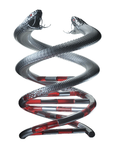 Snake Dna Sticker by 3TEETH