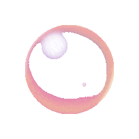 Beer Gib Sticker by Granville Island Brewing