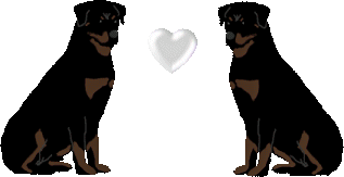 stud STICKER