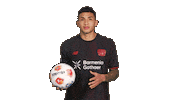 Bayer Leverkusen Sticker by Bundesliga