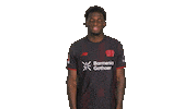 Bayer Leverkusen Sticker by Bundesliga
