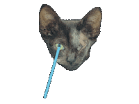 Cat Wagging Sticker by Marcel Katz / The Art Plug