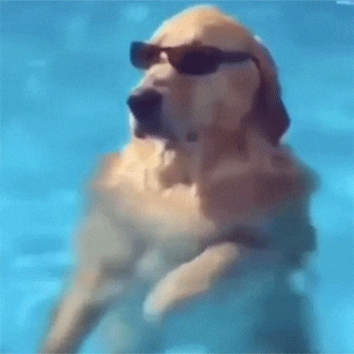 Woof Chill Dog GIF by jOnNy'S wOrLd