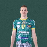 Orka Poza GIF by Aluron CMC Warta Zawiercie