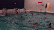 Game Goal GIF by Wasserballklub Thun