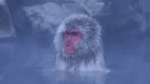 jbagist giphyupload GIF