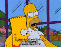 homer simpson episode 6 GIF