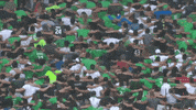 asse asseofficiel GIF by AS Saint-Etienne