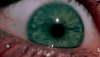 tobe hooper horror GIF