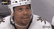 Ice Hockey Smile GIF by NHL