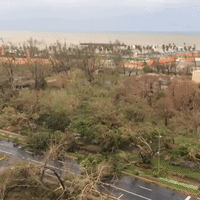 View Over San Juan Bay Shows Hurricane Maria Damage