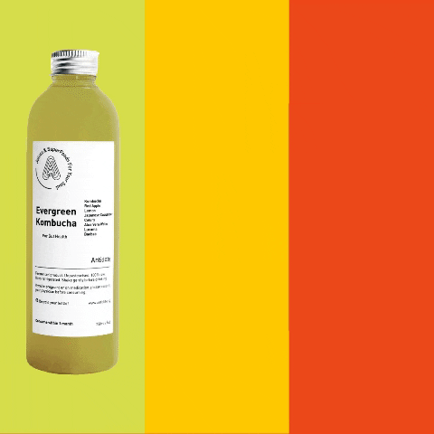 antidotejuice kombucha antidote GIF