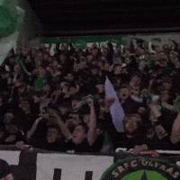 ShamrockRoversFans ireland srfc rovers shamrock rovers GIF