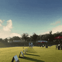 pga tour golf GIF by Travelers Championship