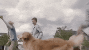 parkerpup running dogs playing golden retriever GIF