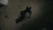 Rap Spinning GIF by Pardyalone
