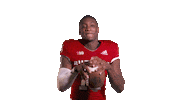 Washington Football Team Commanders Sticker by Rutgers Football