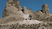 GIF by Partisan Records