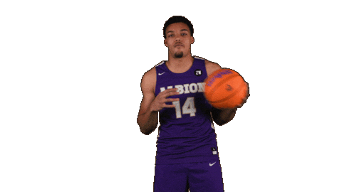 Ppp D3 Sticker by Albion College