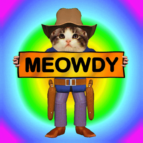 Cowboy Hello GIF
