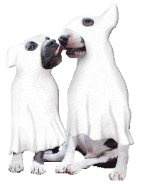 Dog Halloween Sticker by Tales&Tails