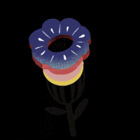 angelachamorro  GIF