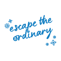 Christmas Skydiving Sticker by Experience Co