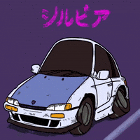 Silvia Schassis GIF