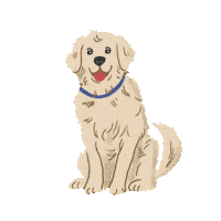 Golden Retriever Dogs Sticker by Better Than Raw