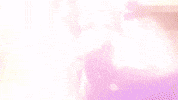 Yuri Lily GIF