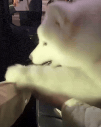Luke Jingboran GIF