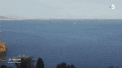 Real Estate Sea GIF by Casol