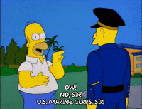 Season 6 GIF by The Simpsons