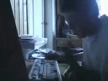 internet fights GIF