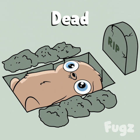 Cracking Up Do Not Want GIF by Fugz Official