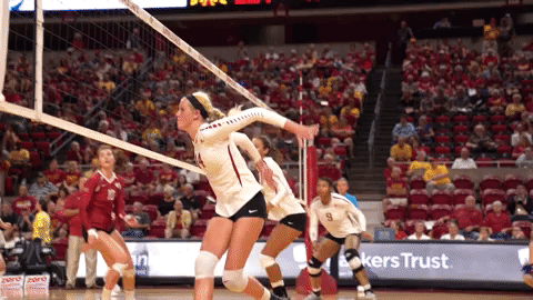 cyclonestv giphyupload schaben solo block GIF