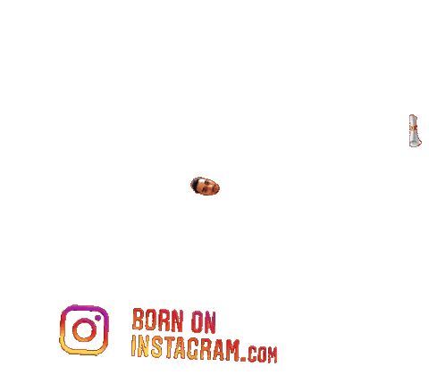 bornoninstagram giphyupload abhisekrath Sticker