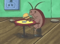 a8jjj what عراقي 3xh3 شفي GIF