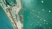 Miami Gdz GIF by Gente De Zona