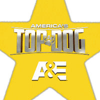Gold Star Dog Sticker by A&E